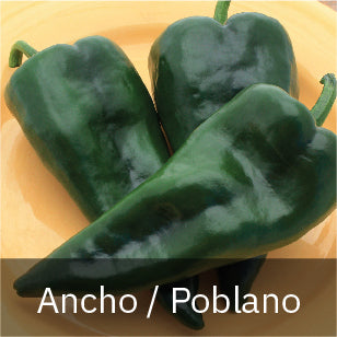 Peppers - Hot Peppers - Ancho/Poblano
