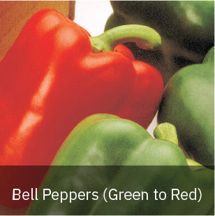 Bell Pepper Seeds (Green to Red)