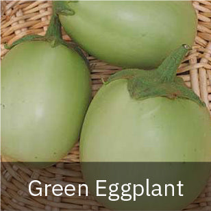 Eggplant - Green