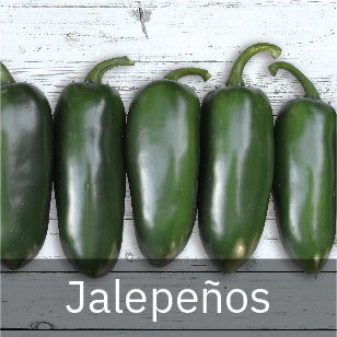 Jalapeno Pepper Seeds