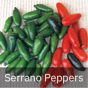 Serrano Pepper Seeds