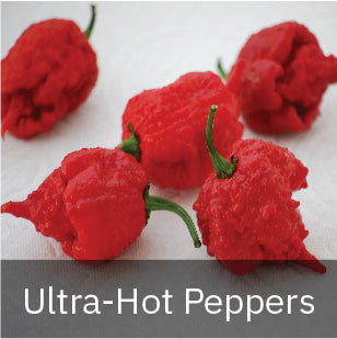 Ultra-Hot Pepper Seeds