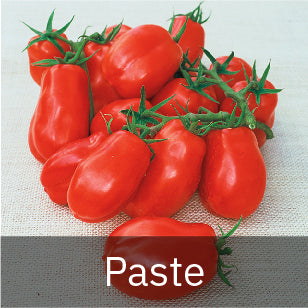 Paste Tomato Seeds