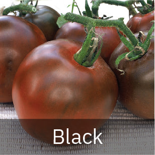 Black Tomato Seeds