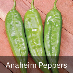 Peppers - Hot Peppers - Anaheim