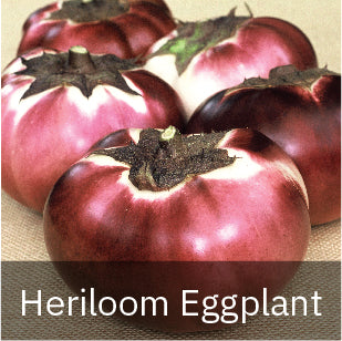 Eggplant - Heirloom