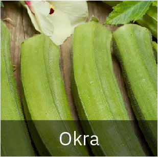 Okra Seeds