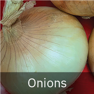 Onions