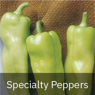 Sweet Specialty Peppers