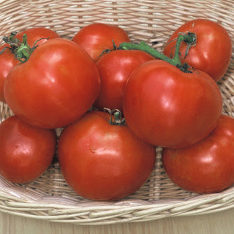 Basket of red tomatoes on a wooden surface