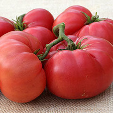 Red tomatoes on a textured surface