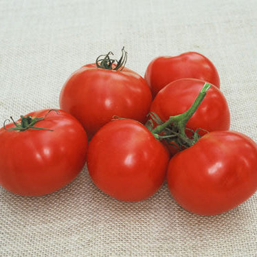 Red round tomatoes on a textured surface