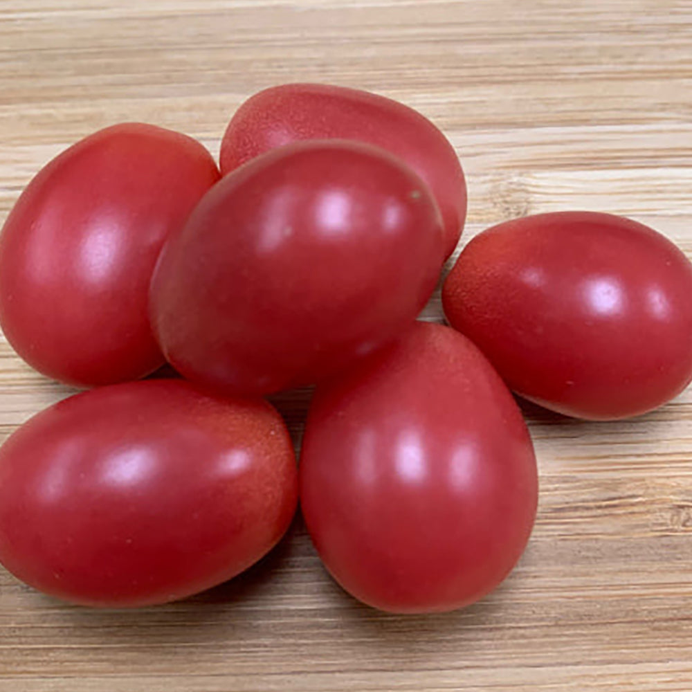 All Tomato Seeds | Tomato Growers Supply Company – Page 3