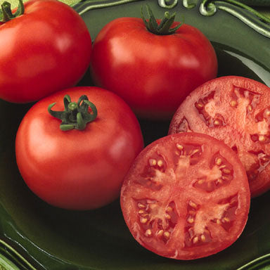 Red tomatoes on a plate with one sliced open to display cross-section