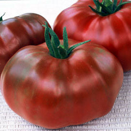 Three dark red tomatoes with green stems on a white background