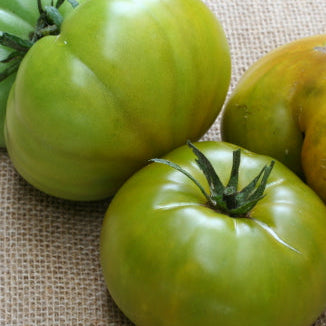 Green ribbed-tomatoes on a sheet of burlap