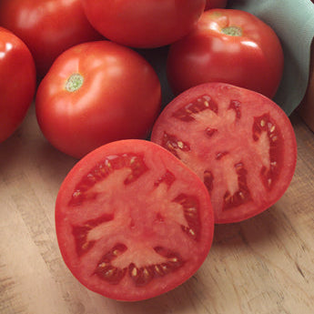 4205_crop_345x.jpg?v=1762044825