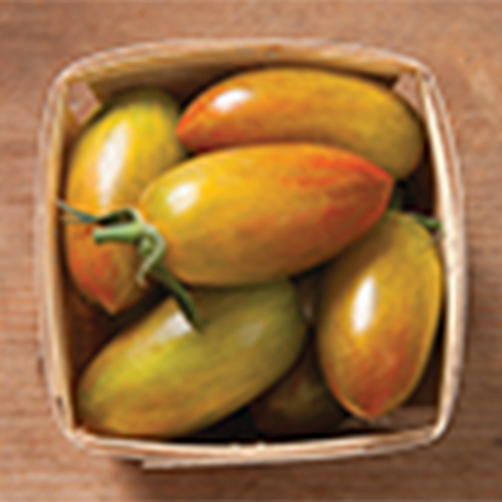 tiger lily tomatoes Lucky Tiger Tomato – Tomato Growers Supply Company