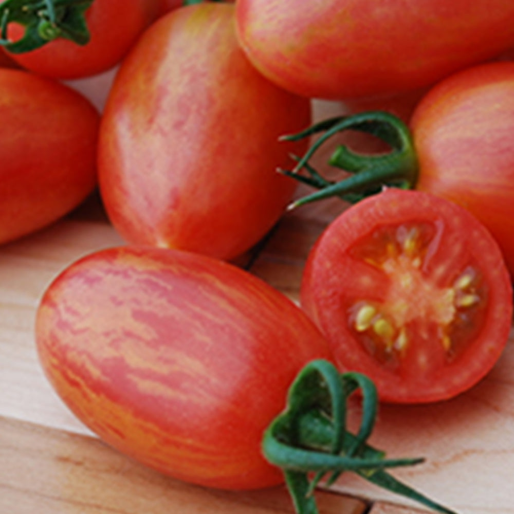 Small-Fruited Tomato Seeds | Tomato Growers Supply Company – Page 2