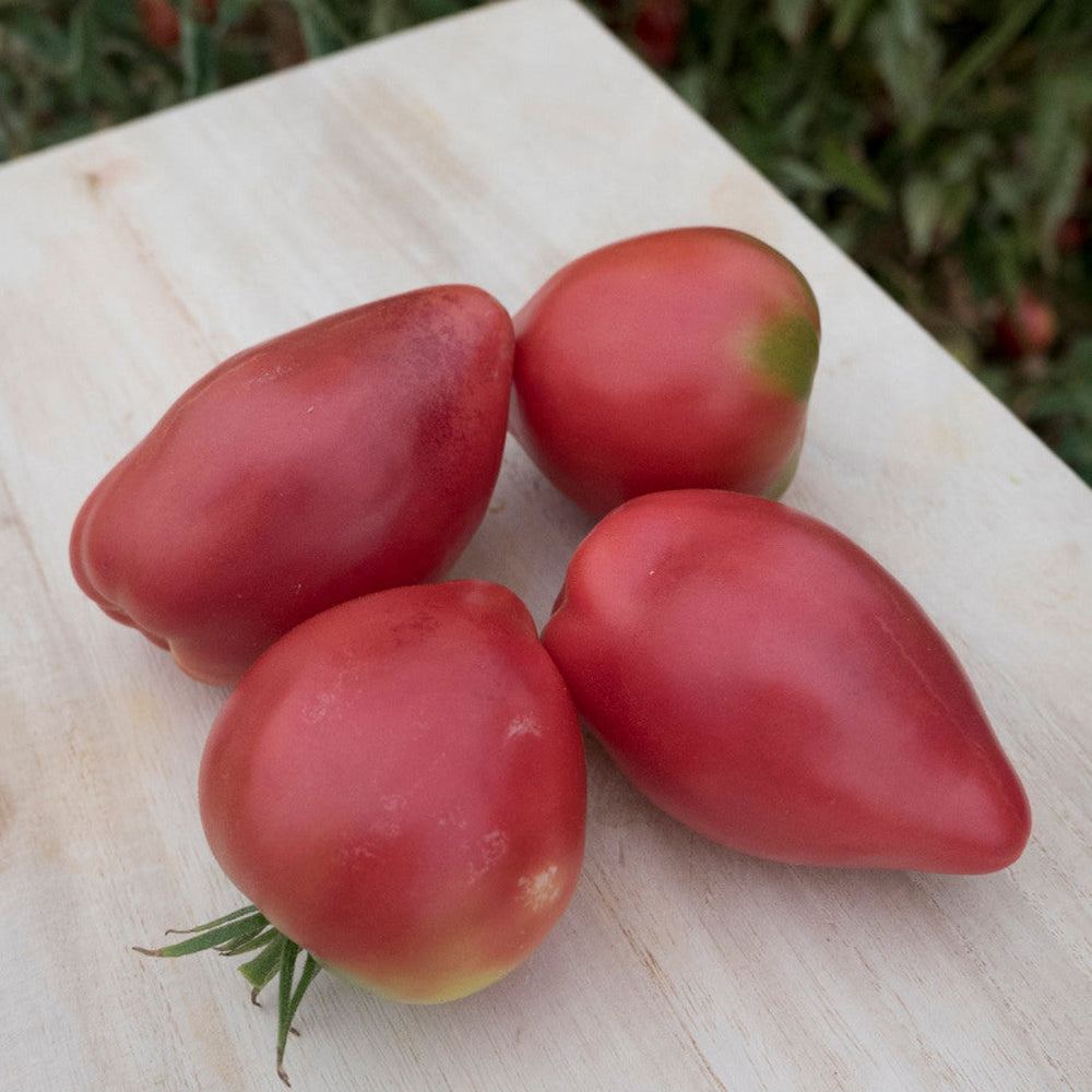 Oxheart Tomato (Heirloom) Seeds (25 Seed Package
