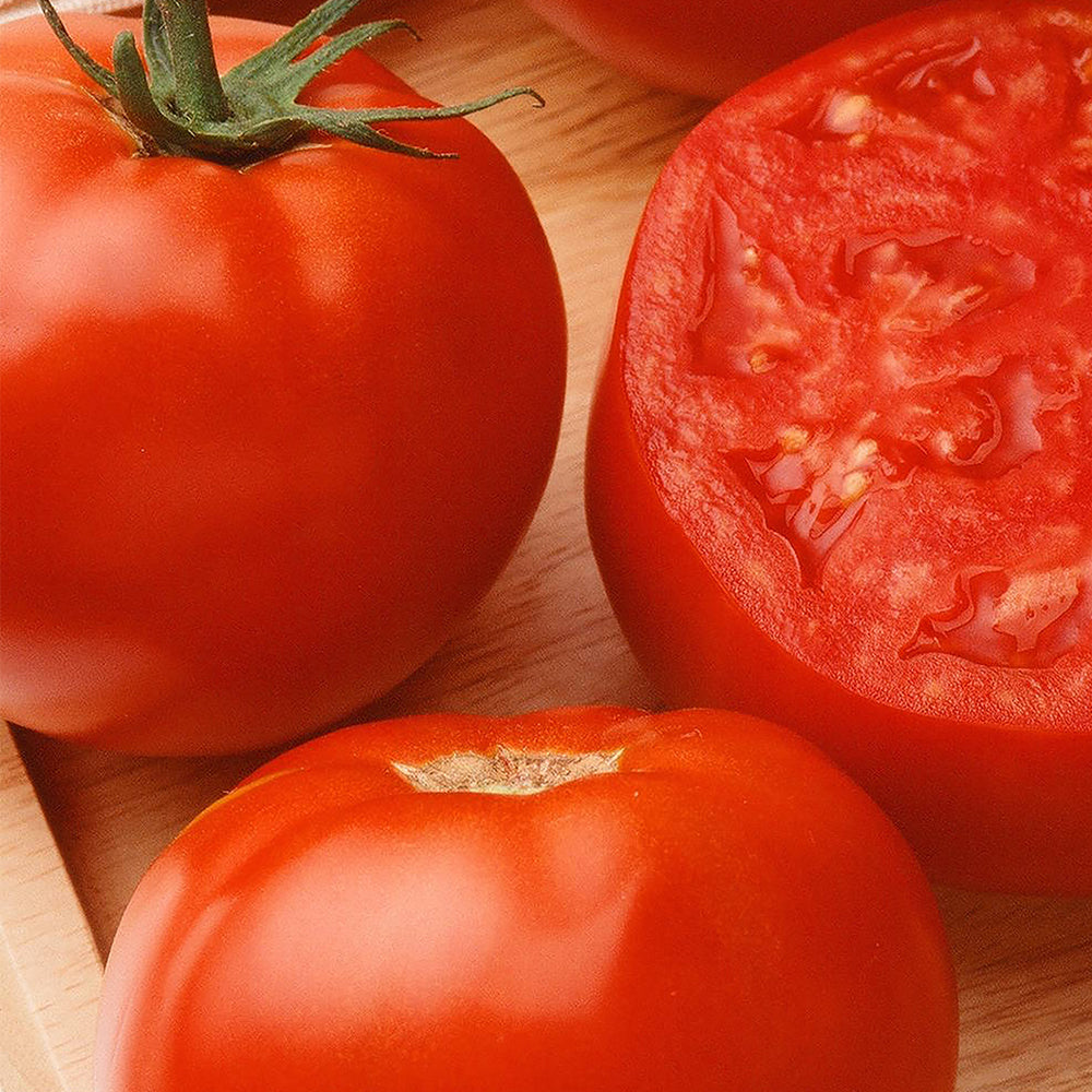 Tomatoes - Greenhouse – Tomato Growers Supply Company