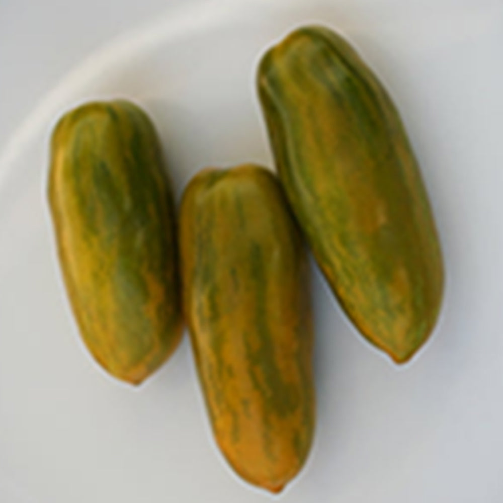 Green Tomato Seeds | Tomato Growers Supply Company