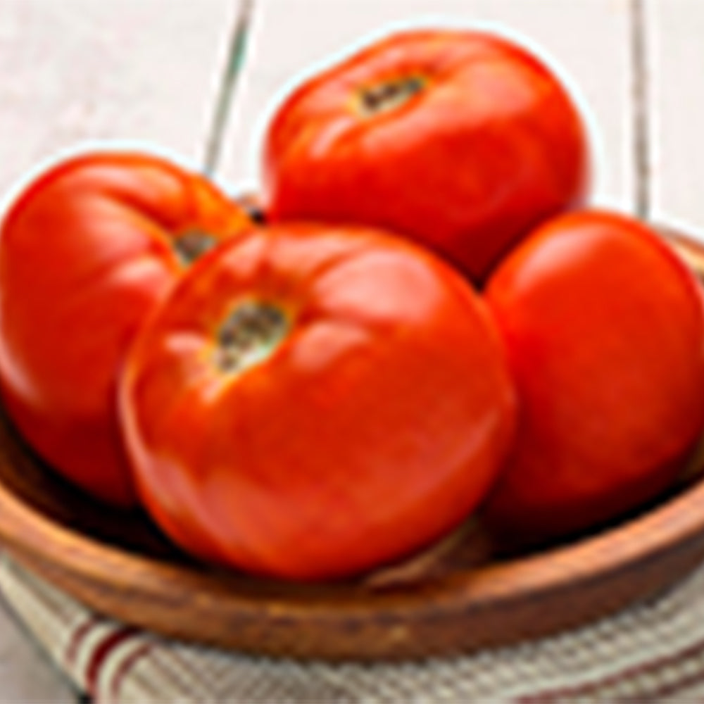 Dixie Red VFFFNA Hybrid Tomato – Tomato Growers Supply Company