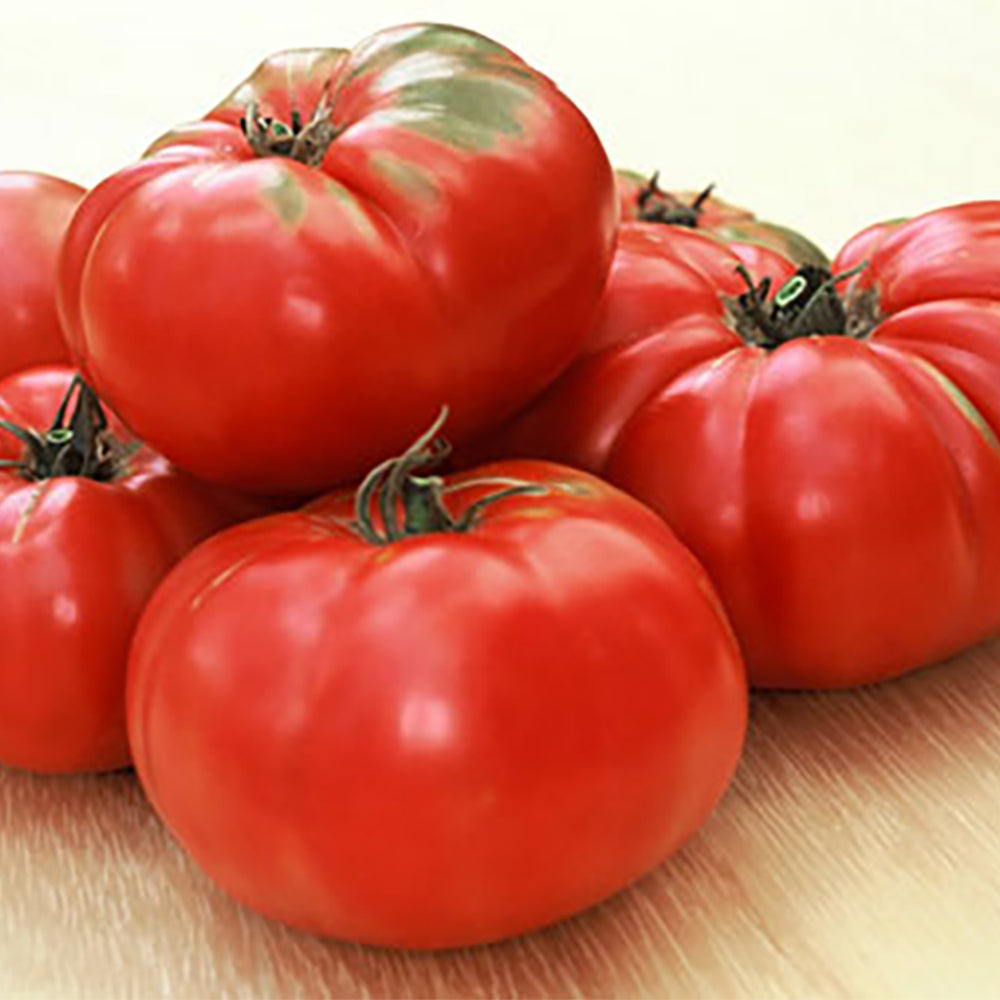 tomato］ Caspian Pink Tomato – Tomato Growers Supply Company
