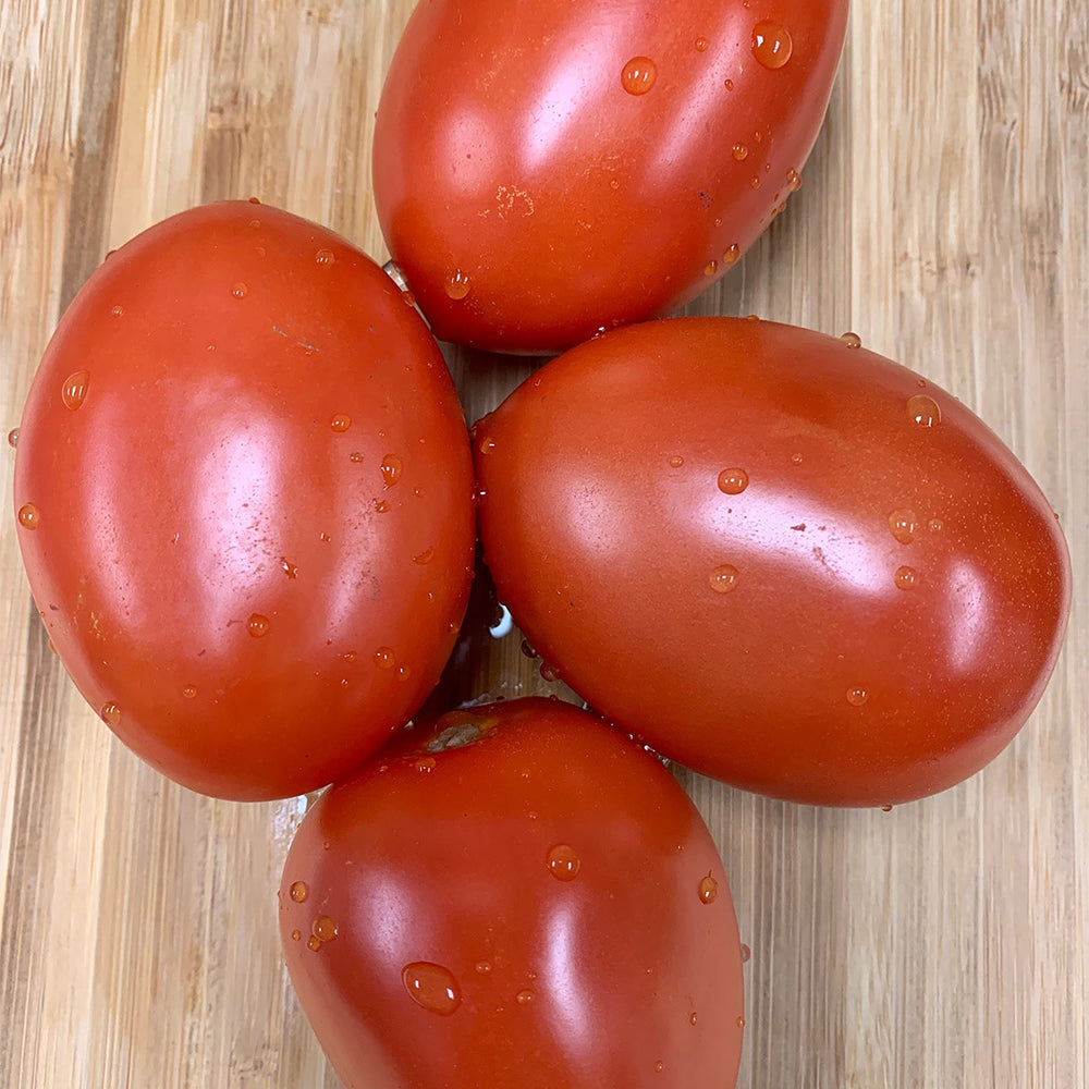 Paste Tomato Seeds | Tomato Growers Supply Company
