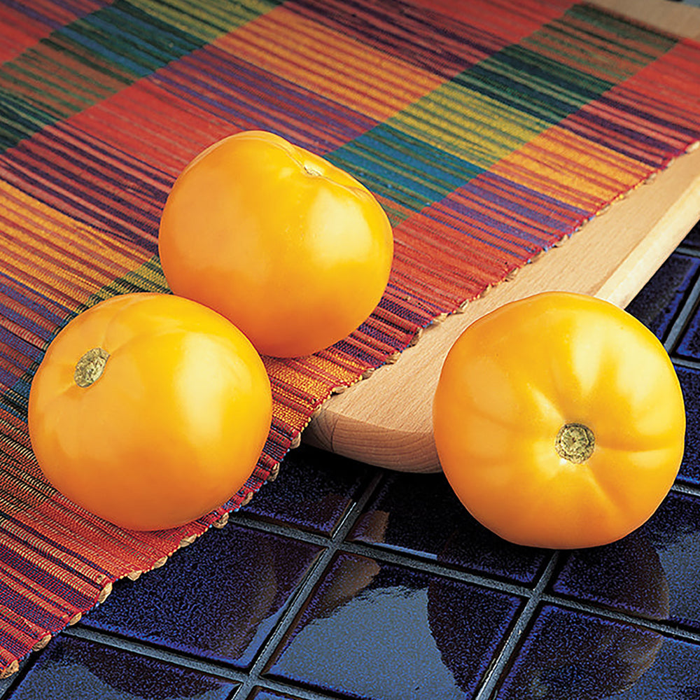とまとページ Yellow Tomato Seeds | Tomato Growers Supply Company