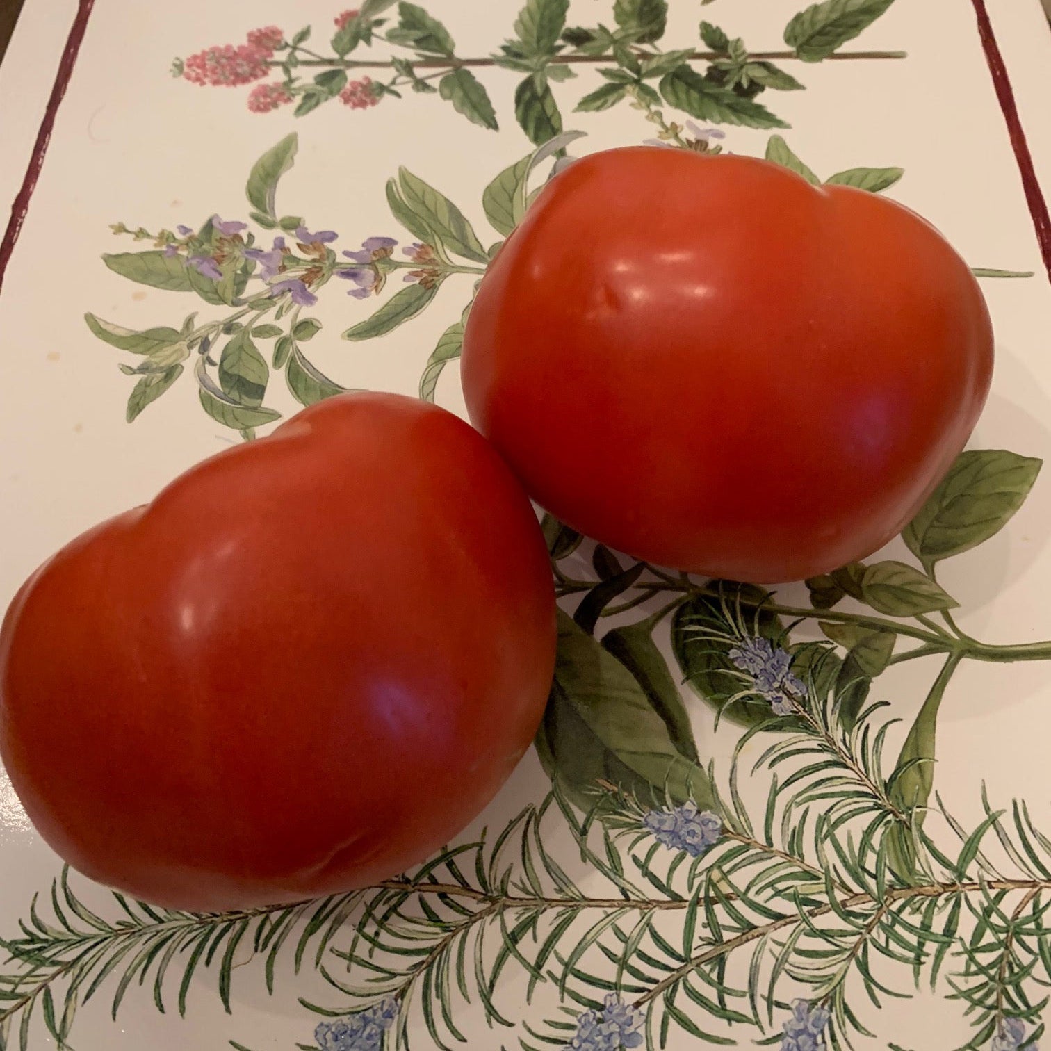 All Tomato Seeds | Tomato Growers Supply Company – Page 9