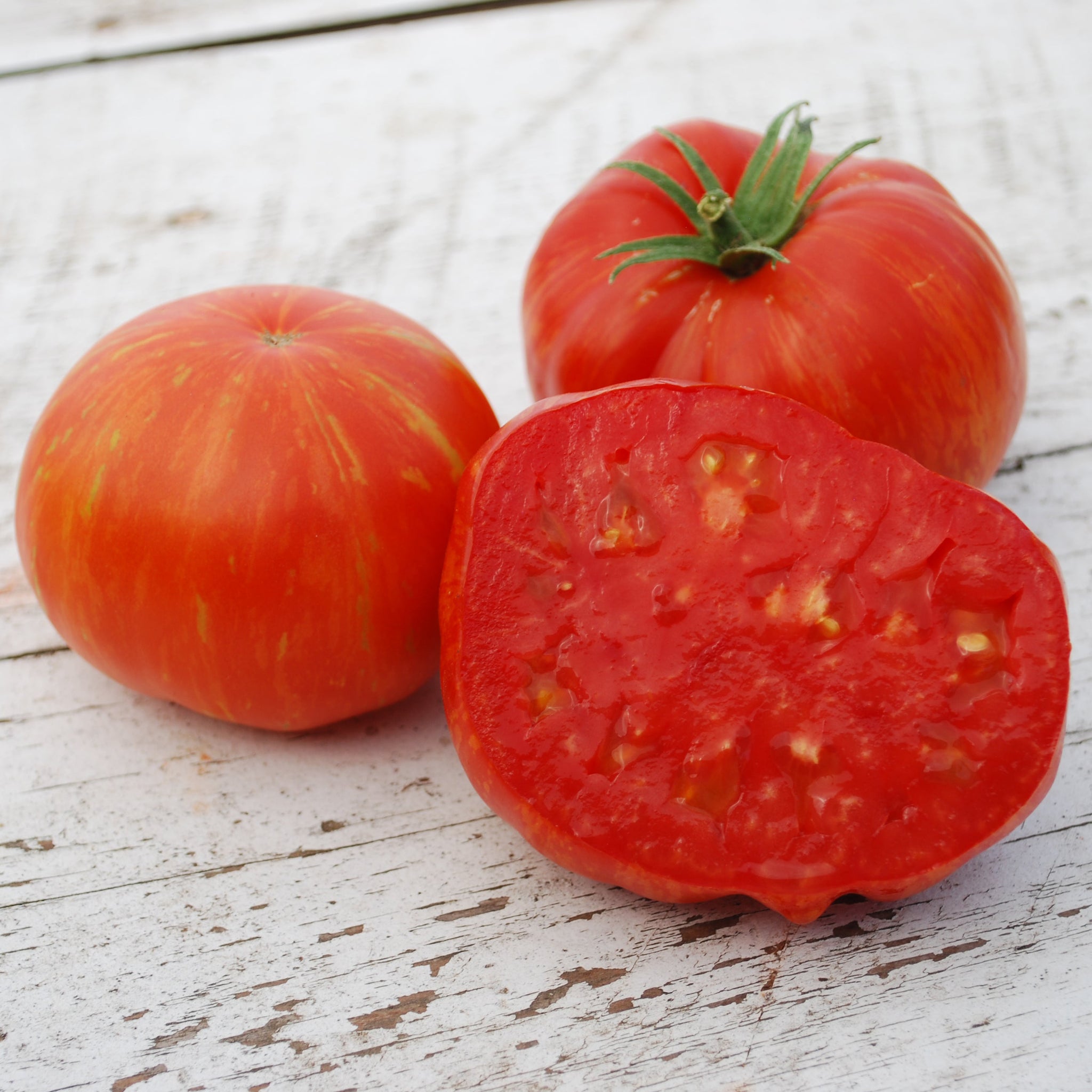 Bi-Color Tomato Seeds | Tomato Growers Supply Company