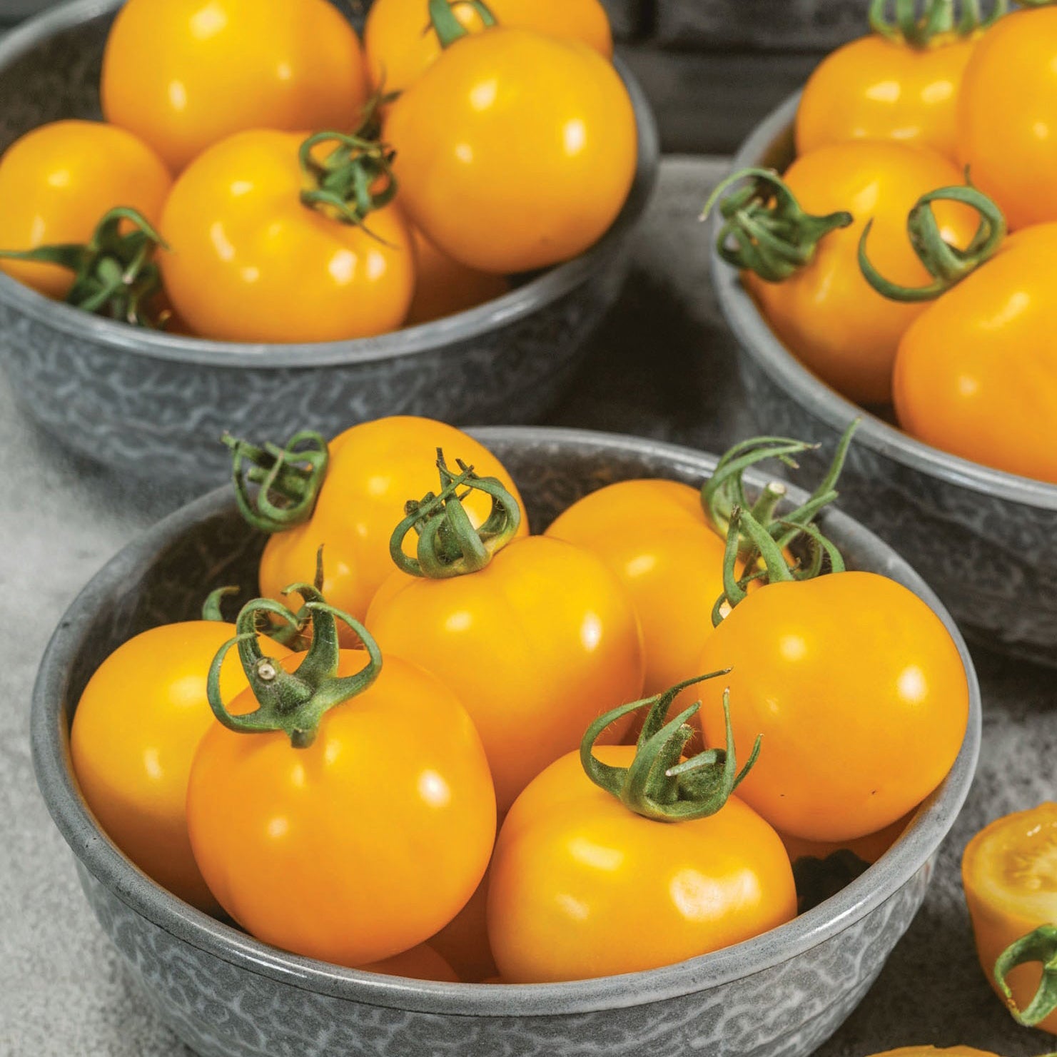 Small-Fruited – Page 2 – Tomato Growers Supply Company