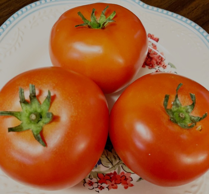 Empire VFFNT Hybrid Tomato Tomato Growers Supply Co. Tomato Growers