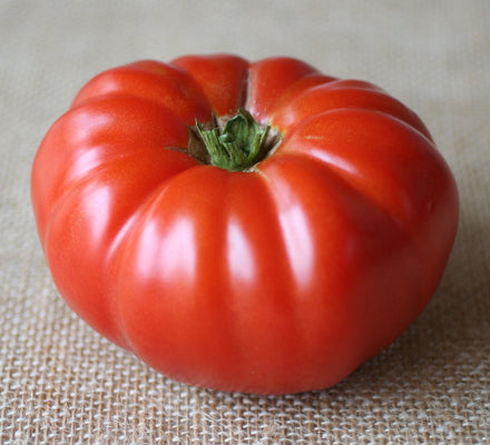 Buffalo Steak VFNT Hybrid Tomato – Tomato Growers Supply Company