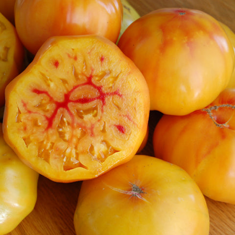A group of 'Gold Medal Tomato' with yellow and red striped fruit, some whole and some cut in half showing the inside.