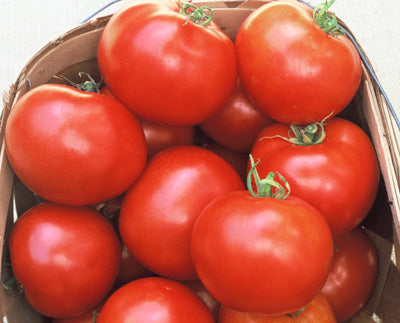 tomato購入8500 Tomato Heinz H.9780