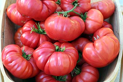 Tomato Big Raspberry Big Raspberry Tomato – Tomato Growers Supply Company