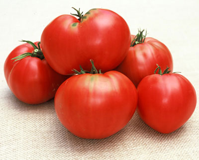 Anna Russian Tomato Seeds | Tomato Growers – Growers Supply Company