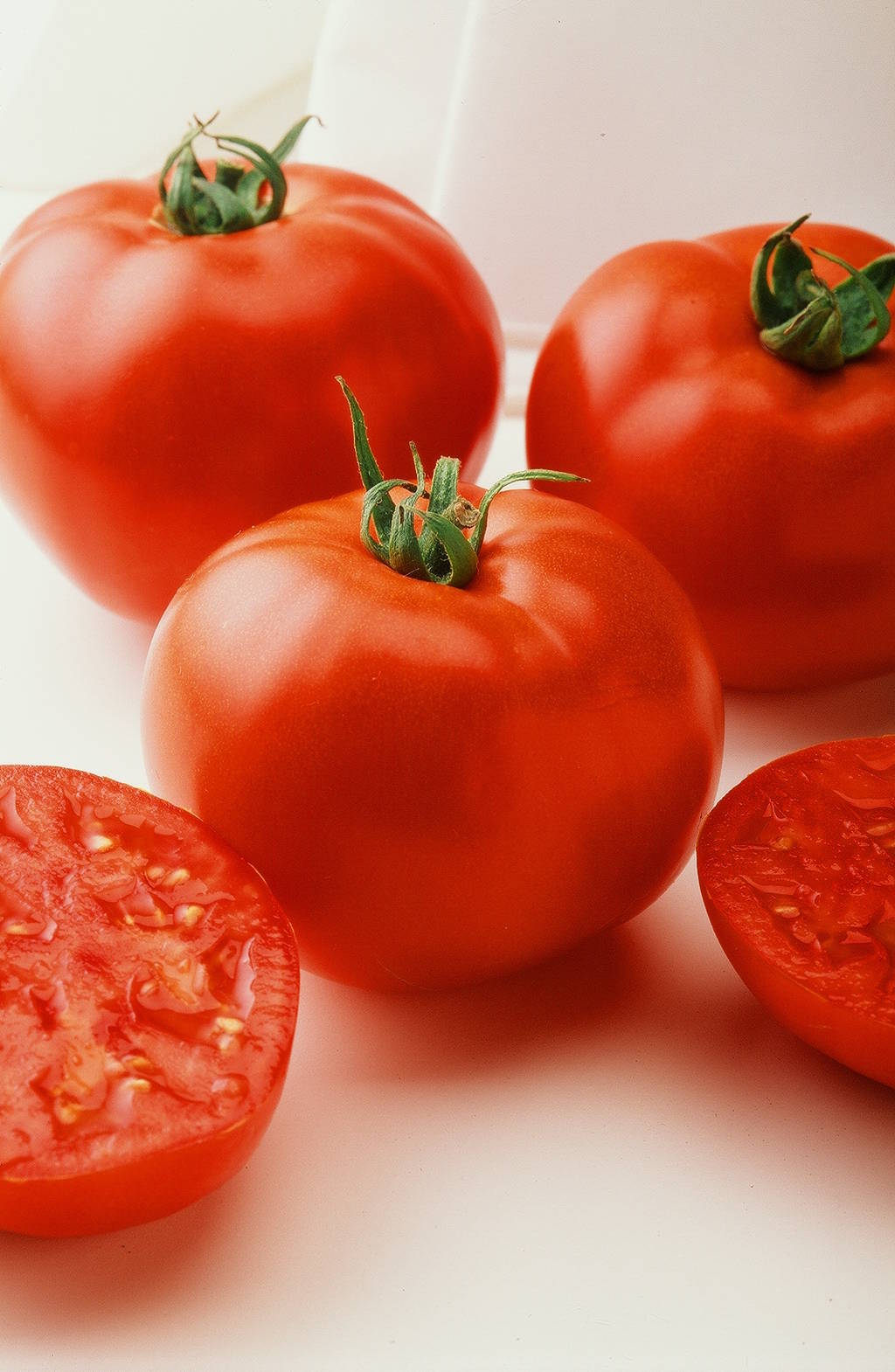 Early First Prize Hybrid Tomato Tomato Growers Supply Company