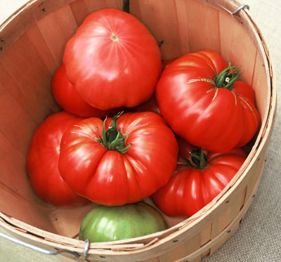 Watermelon Beefsteak Tomato – Tomato Growers Supply Company