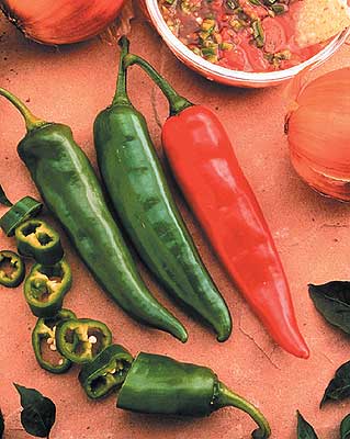 Garden Salsa Hybrid Pepper Tomato