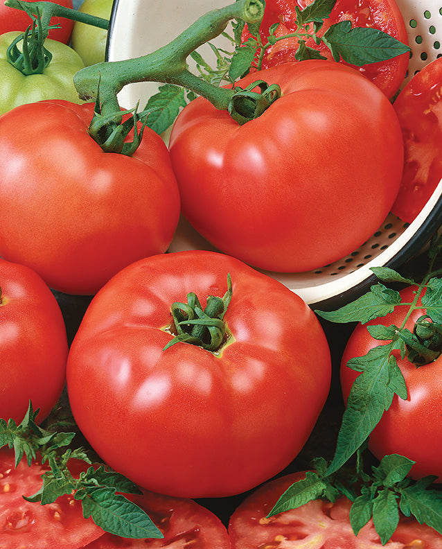 Chef's Choice Tomato Seeds Tomato Growers Supply Company
