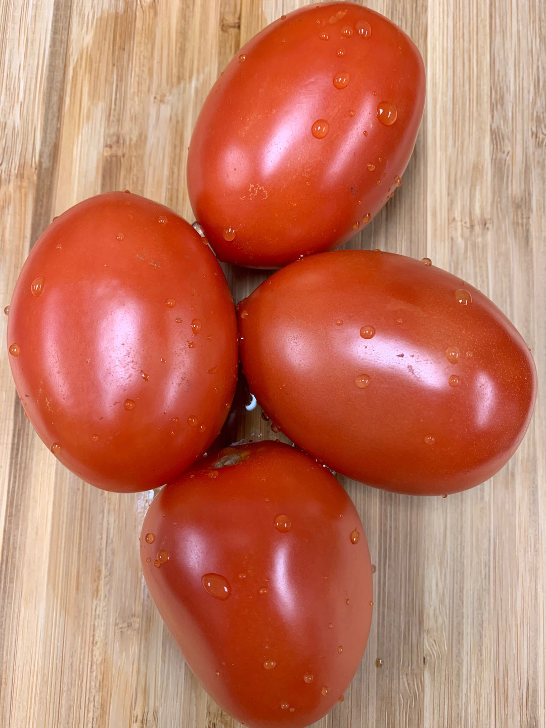 Roman Warrior Hybrid Tomato Tomato Growers Supply Company