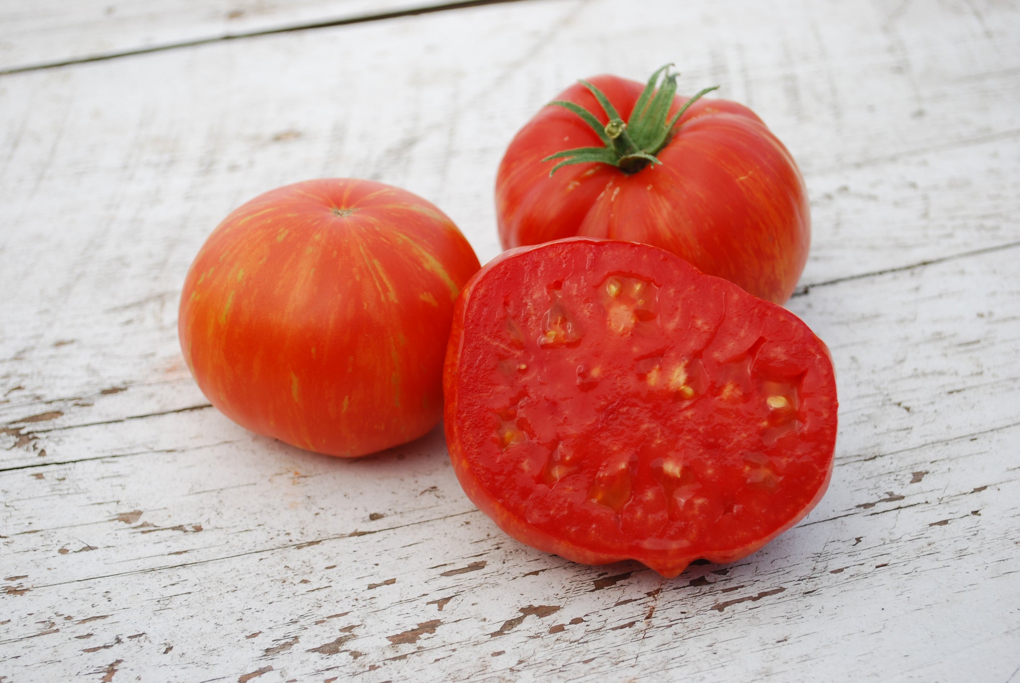 Solar Flare Hybrid Tomato Seeds Tomato Growers Tomato Growers