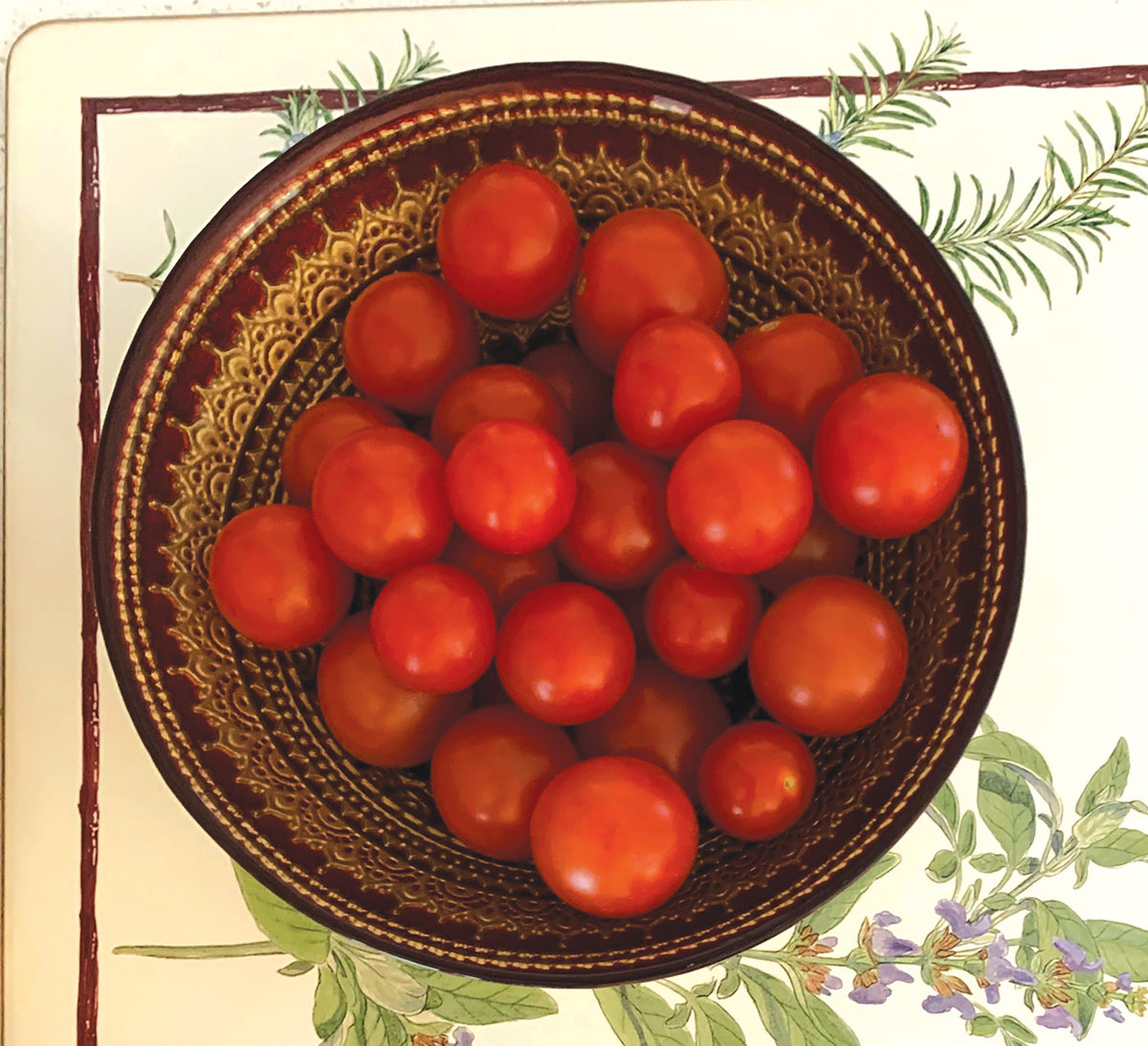 Sweet Chéri Tomato Seeds Tomato Growers Tomato Growers Supply Company