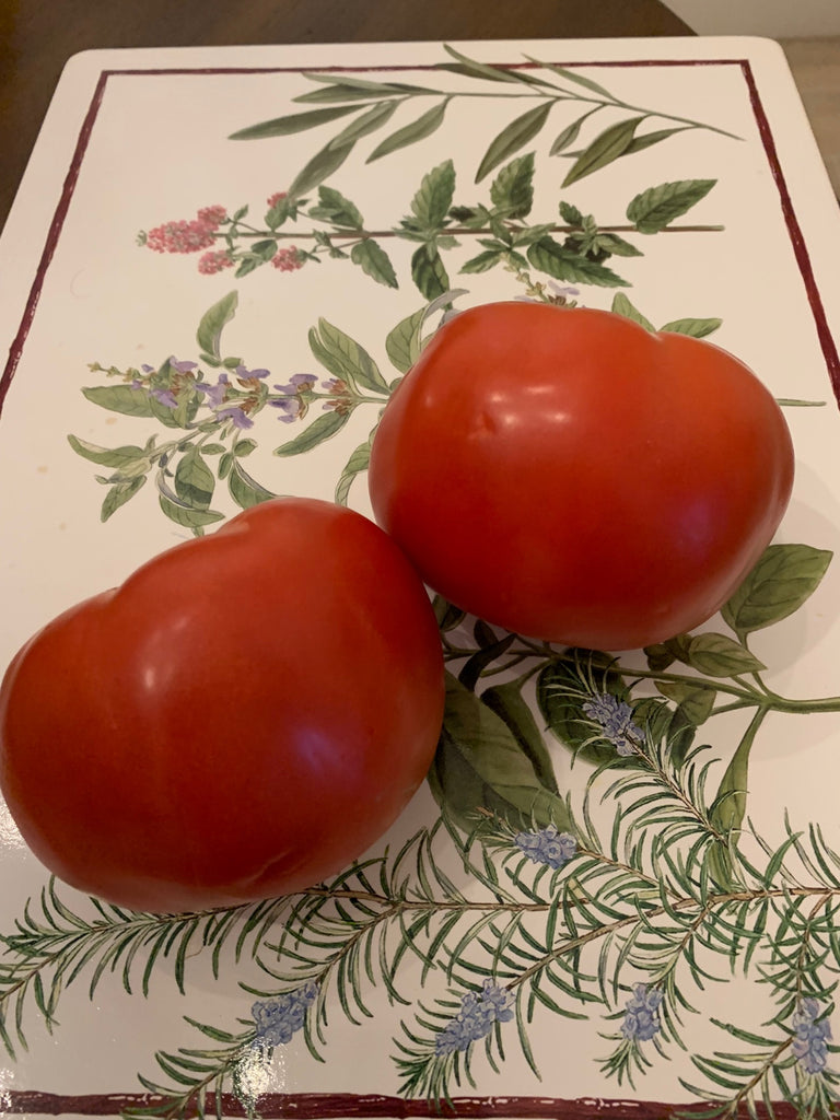 Sweet Caroline Hybrid Tomato Tomato Growers Supply Company